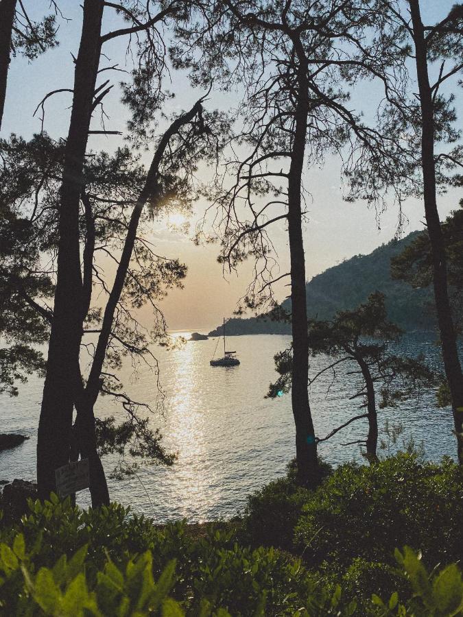Kabak Uetopya Kamp 法拉尔雅 外观 照片