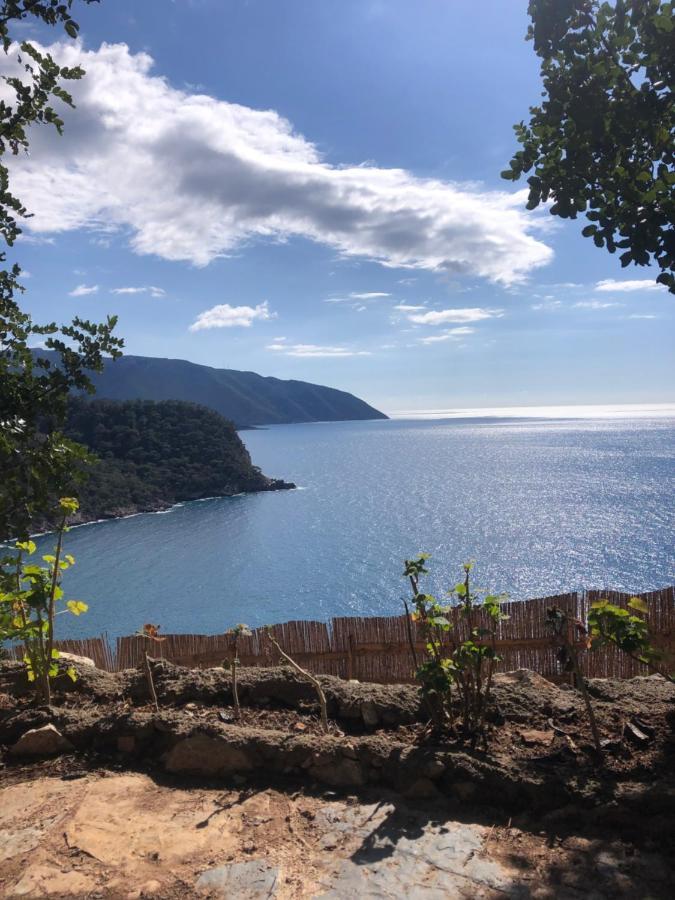 Kabak Uetopya Kamp 法拉尔雅 外观 照片